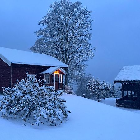 « Sofly Cottage », Le Charme Pur Noresund Exteriör bild