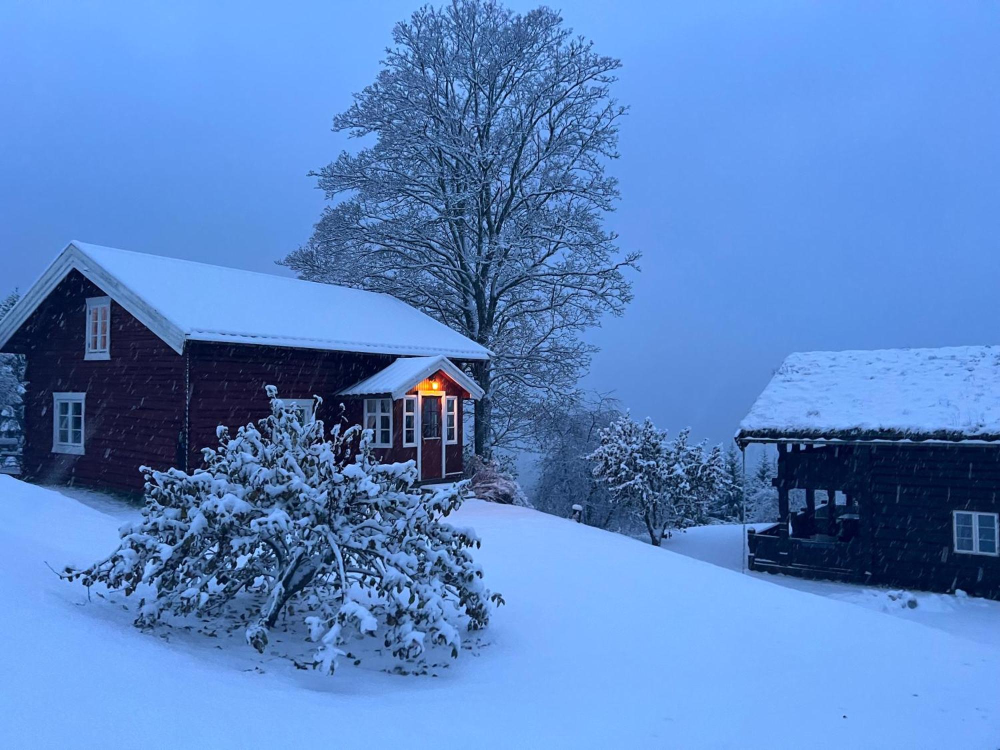 « Sofly Cottage », Le Charme Pur Noresund Exteriör bild